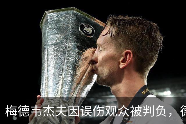 梅德韦杰夫因误伤观众被判负，德约科维奇晋级决赛